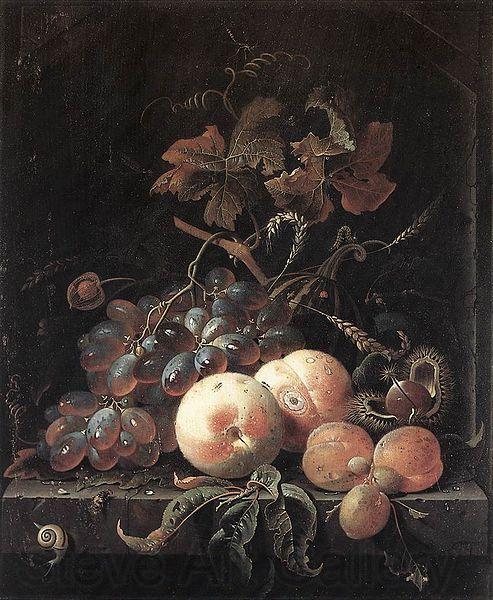 Abraham Mignon Still-Life with Fruits France oil painting art